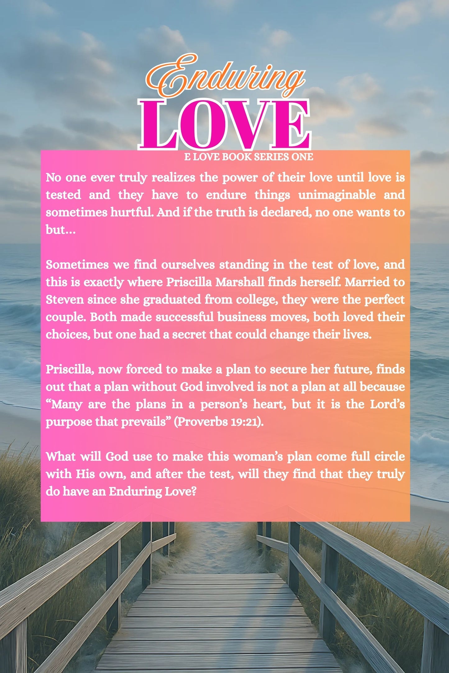 Enduring Love (E Love Series Book 1)